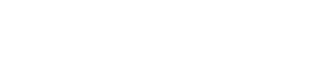 Border Defense Network